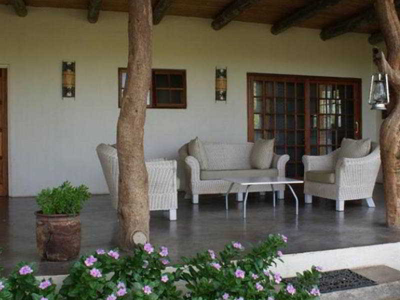 Mbizi Bush Lodge Phalaborwa Dış mekan fotoğraf