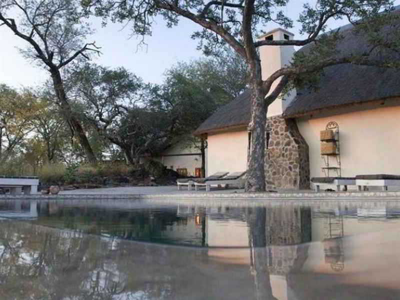 Mbizi Bush Lodge Phalaborwa Dış mekan fotoğraf