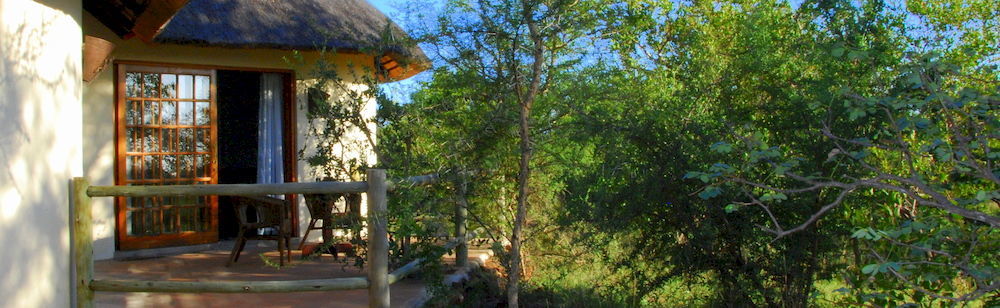 Mbizi Bush Lodge Phalaborwa Dış mekan fotoğraf